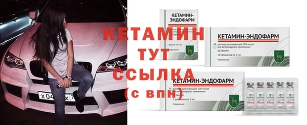 мяу мяу мука Михайловск