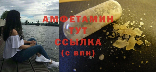 гидра Михайловка