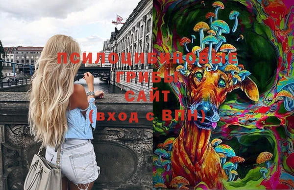 гидра Михайловка